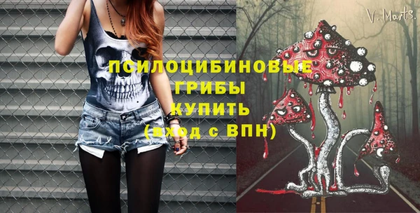 дживик Осинники