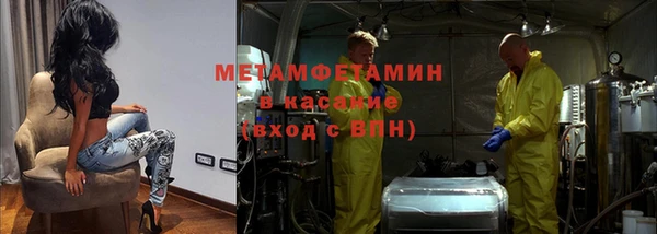 прущие грибы Белокуриха