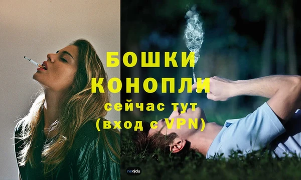 ECSTASY Грязи