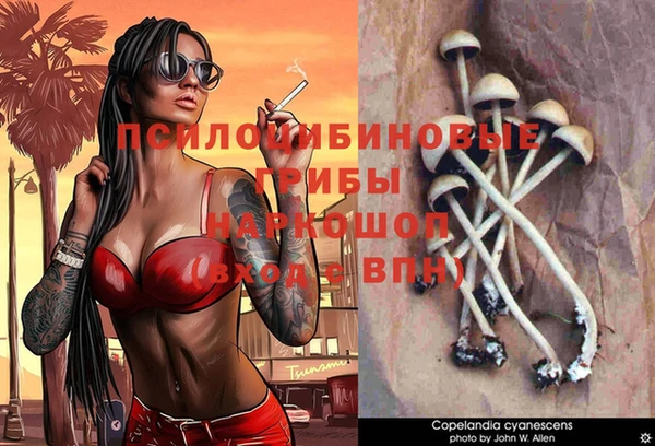 амф Осташков