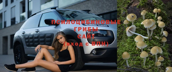 амф Осташков