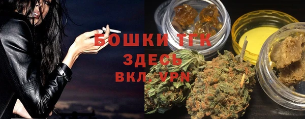 дживик Осинники