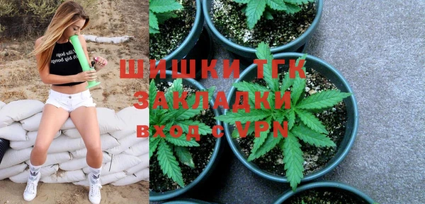 дживик Осинники