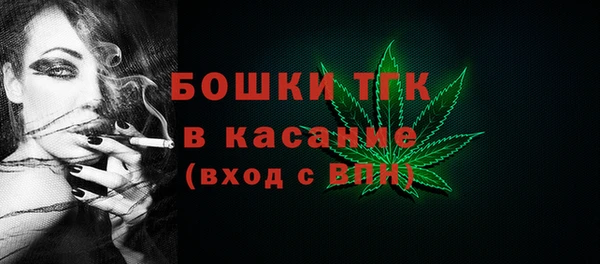 дживик Осинники