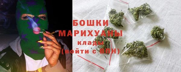 стаф Гатчина