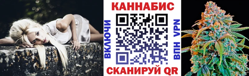 Шишки марихуана марихуана  Щёкино 